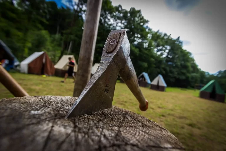 Camping Axe in block of wood