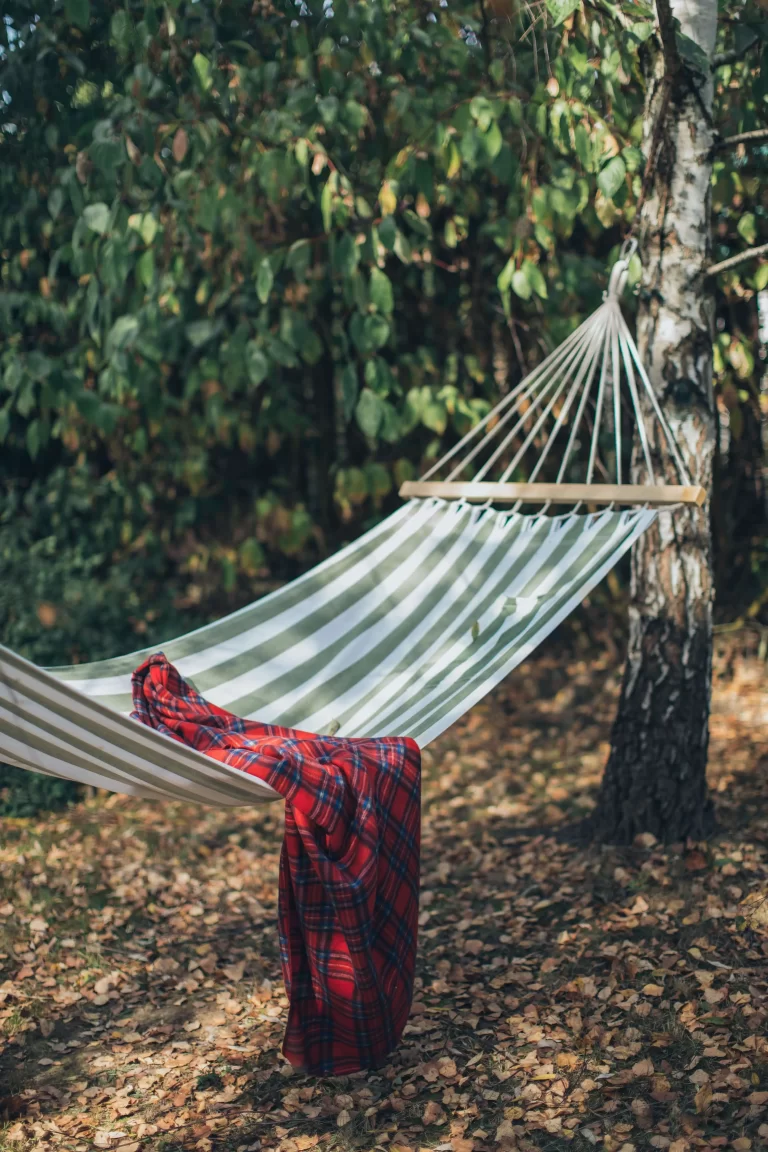 hammock on trees for camping image for Best hammock camping in Australia for 2023